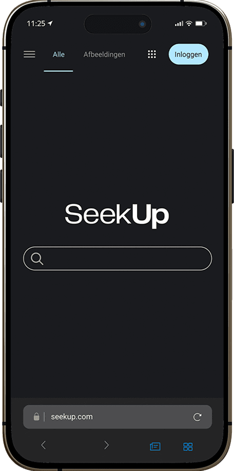 Online Search